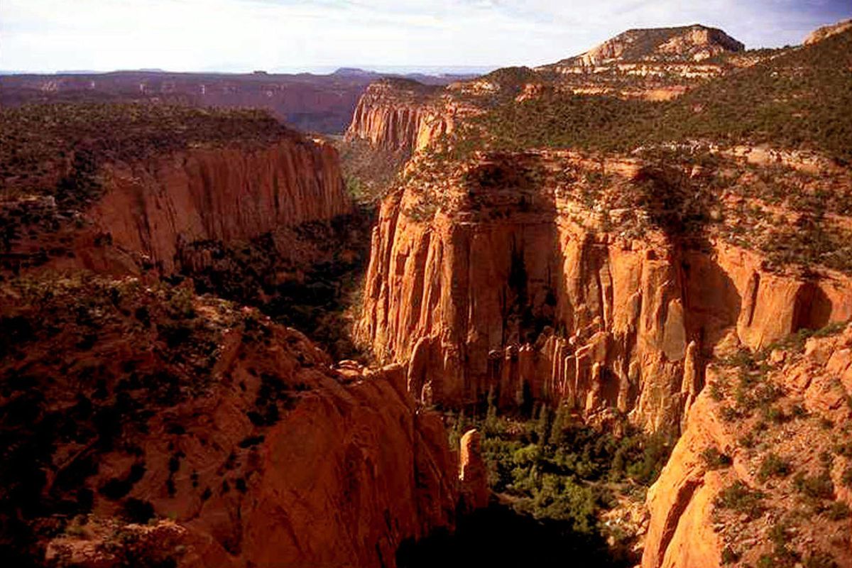 In this undated file photo, the Upper Gulch section of the Escalante Canyons within Utah's Grand Staircase-Escalante National Monument features sheer sandstone walls, broken occasionally by tributary canyons.