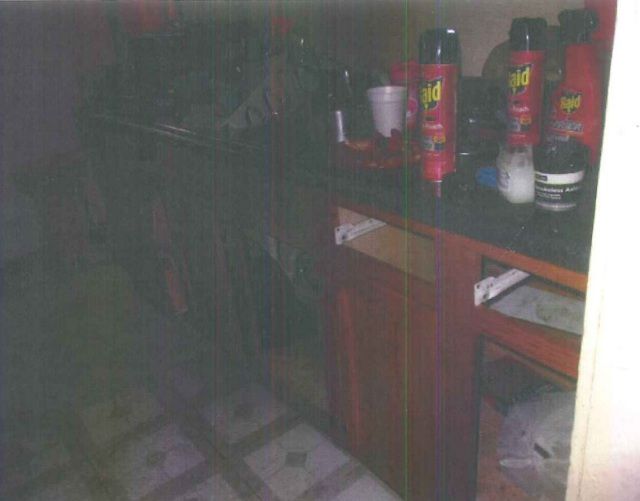 The inside of the Joliet Township home where 1-year-old Semaj Crosby was found dead on April 26. | Photo provided by Will County Land Use Department.