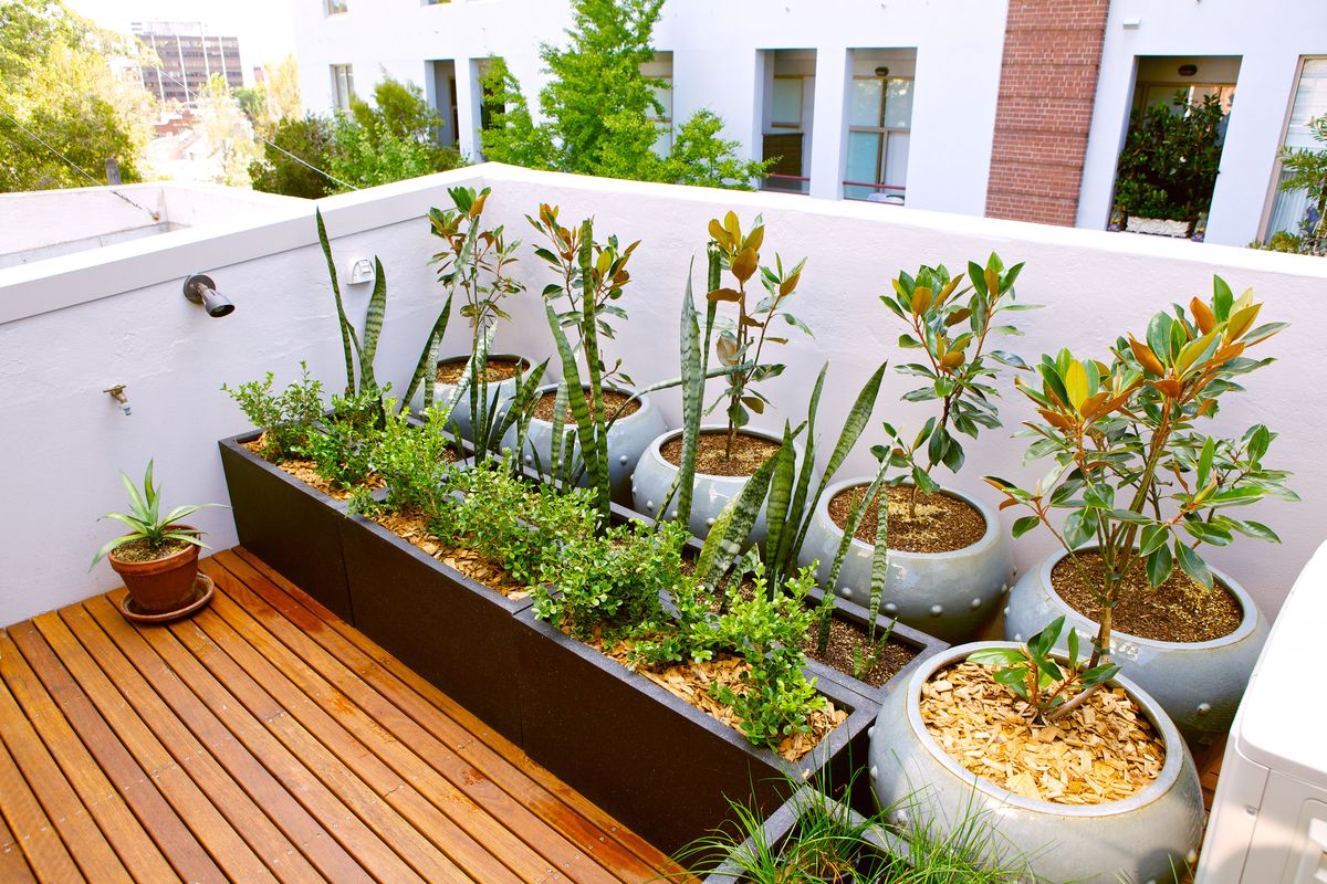 Plants on a balcony