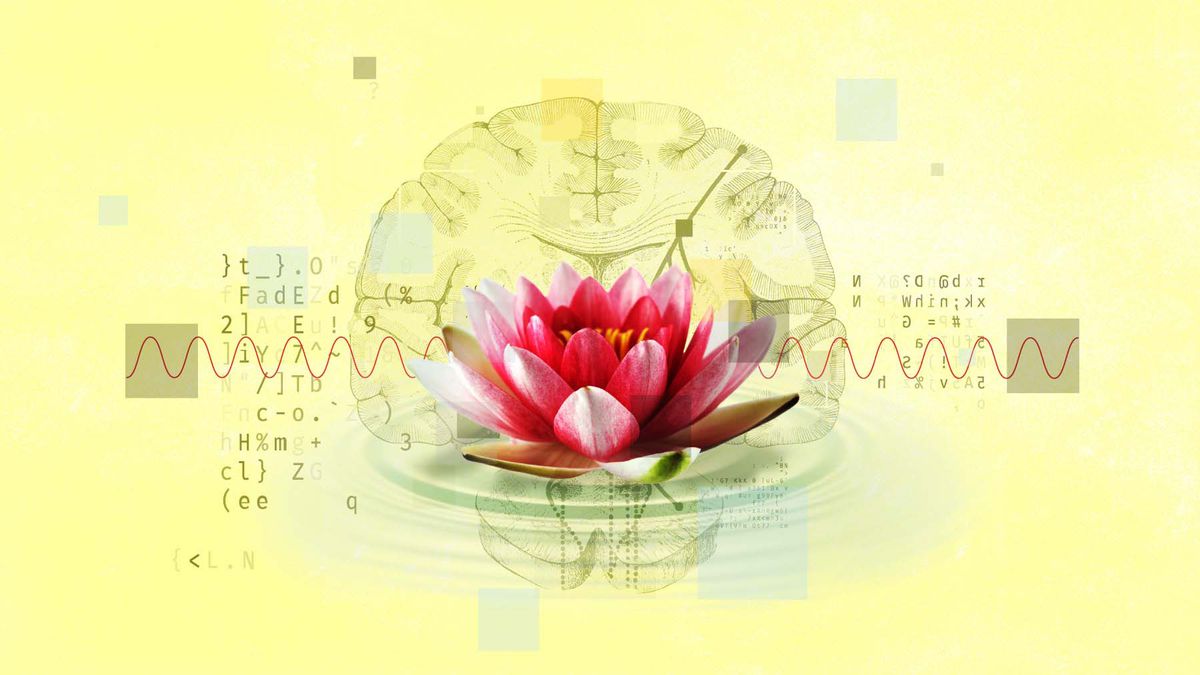 An illustration depicting a lotus flower with a radio wave going across it.