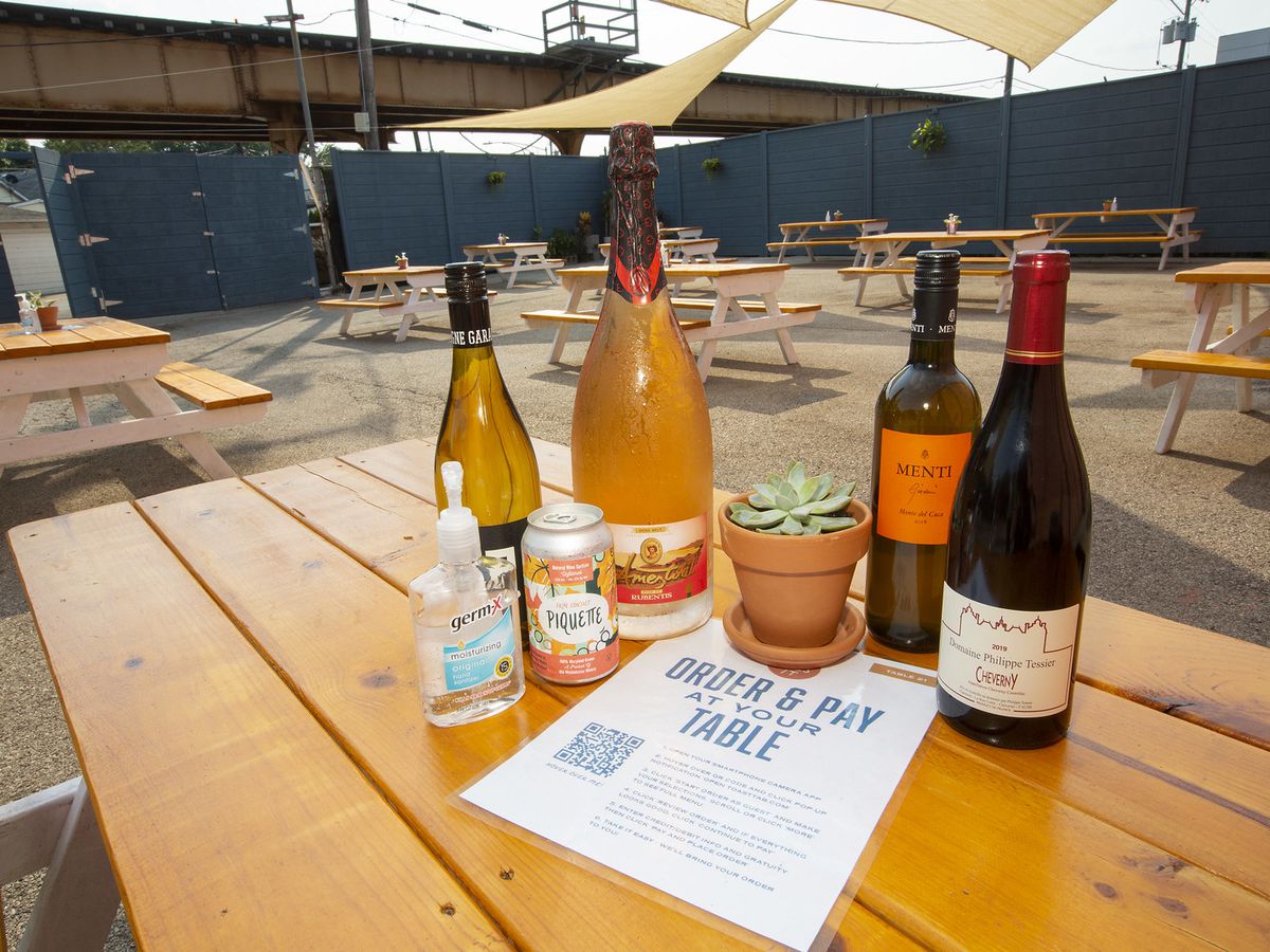 A cluster of wine bottles, a beer can, a potted succulent, and a bottle of sanitizer on top of a picnic table.