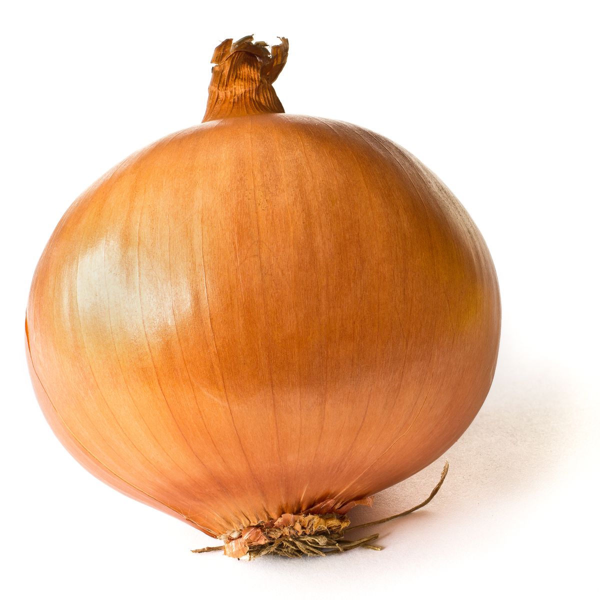 An Onion