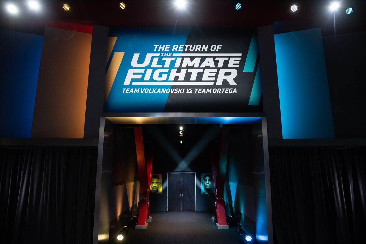 The Return of The Ultimate Fighter