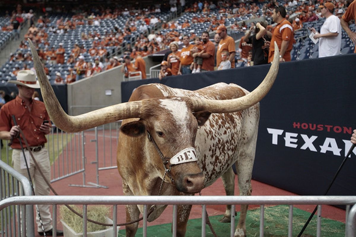 HOUSTON - SEPTEMBER 04:  BEVO looks on from the sidelines before the Texas Longhorns play the Rice Owls at Reliant Stadium on September 4 2010 in Houston Texas.  (Photo by Bob Levey/Getty Images)