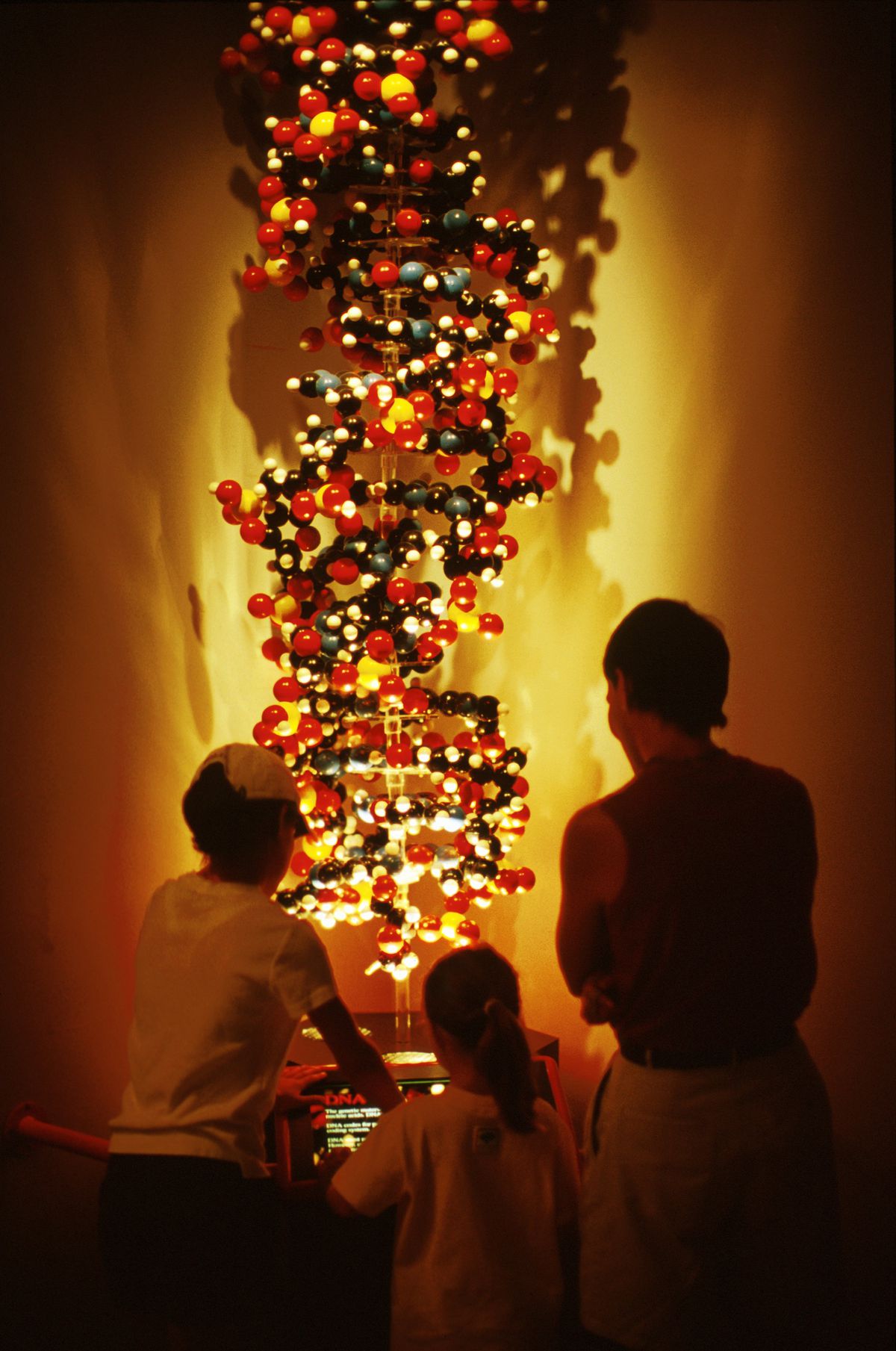 Fernbank Museum Of Natural History, Visitors Viewing DNA Exhibit