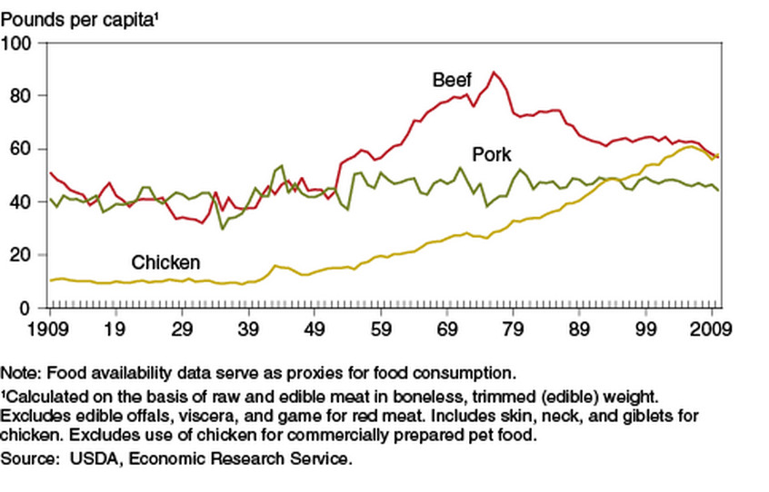 Chicken consumption 5