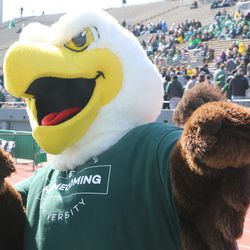 Pictures from the Ball State at Eastern Michigan game