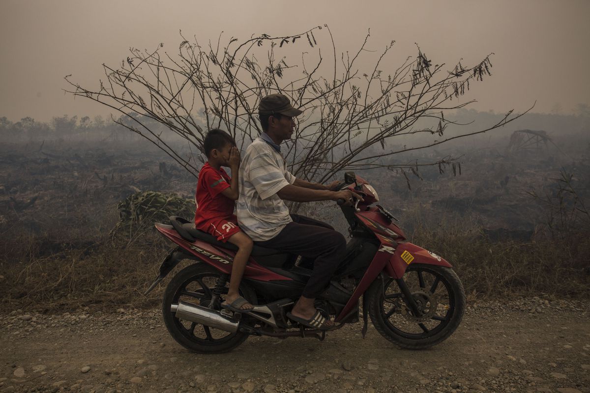 A motorcyclist with his son cover his face as through haze as fire burns peatland and fields at Ogan Ilir district in Palembang, South Sumatra, Indonesia. Indonesia has struggled with air pollution for years, which extracts a huge toll on health.