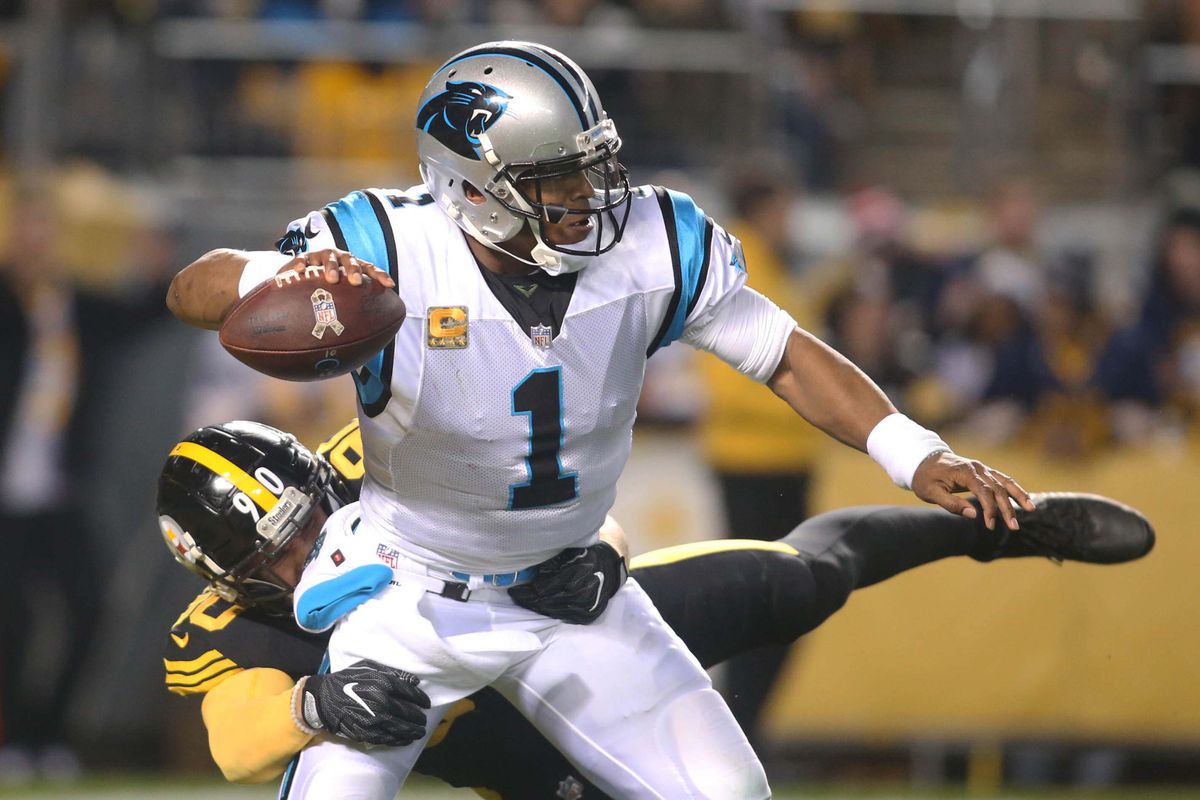 NFL: Carolina Panthers at Pittsburgh Steelers