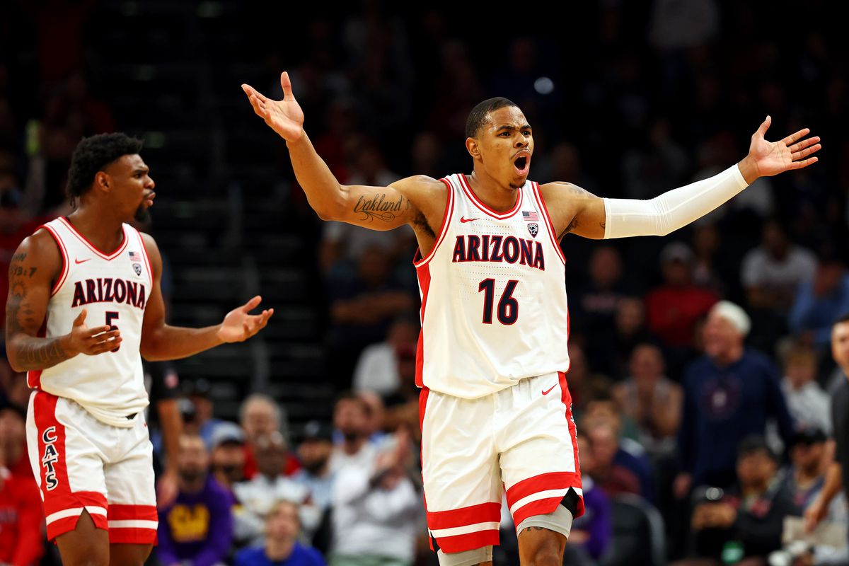 arizona-wildcats-mens-basketball-nonconference-schedule-losses-purdue-fau-tommy-lloyd-commentary