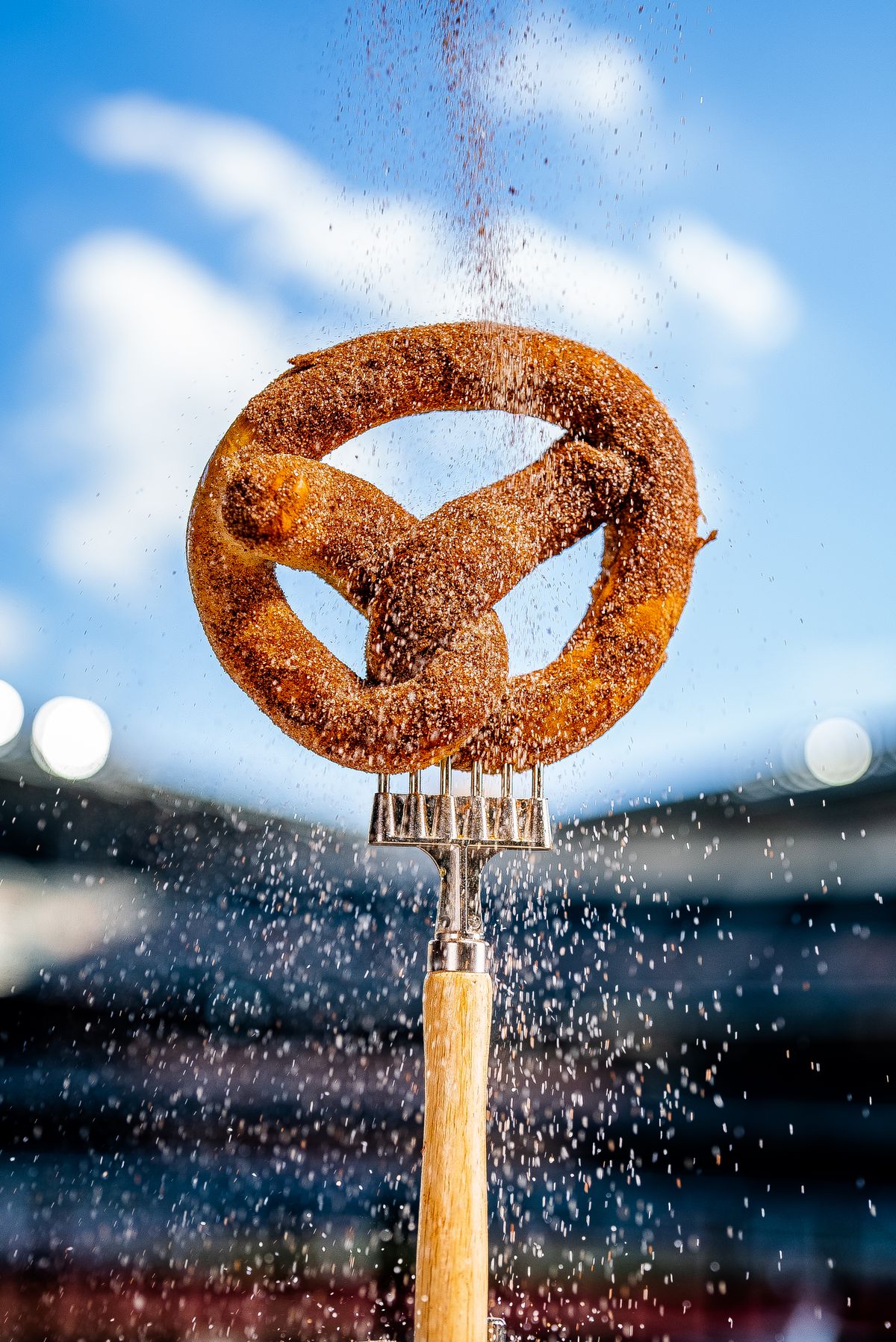 A cinnamon sugar pretzel.