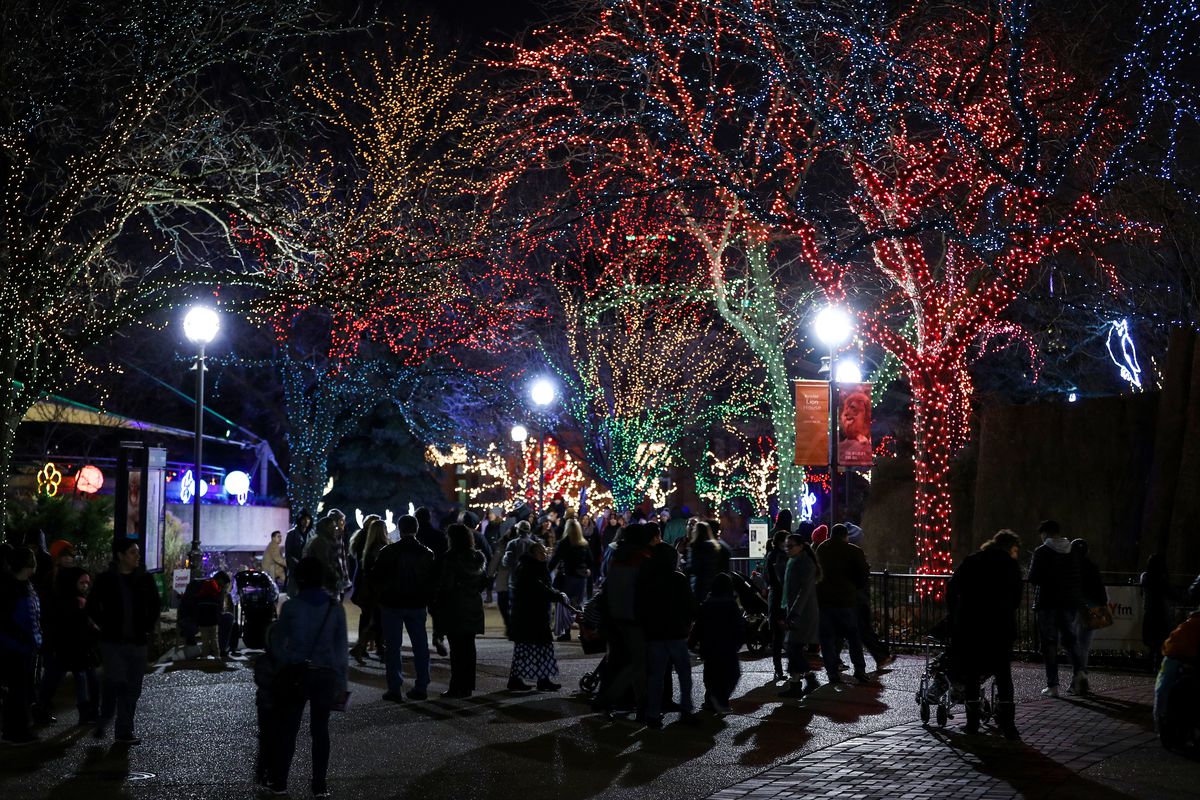 Trees are wrapped in multi-colored lights as people walk around the zoo.