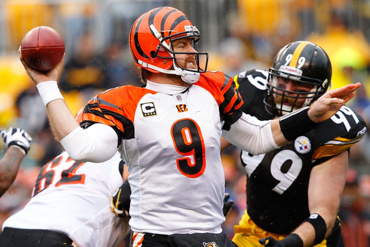 PITTSBURGH - DECEMBER 12: Carson Palmer #9 of the Cincinnati Bengals drops back to pass against the Pittsburgh Steelers during the game on December 12 2010 at Heinz Field in Pittsburgh Pennsylvania.  (Photo by Jared Wickerham/Getty Images)