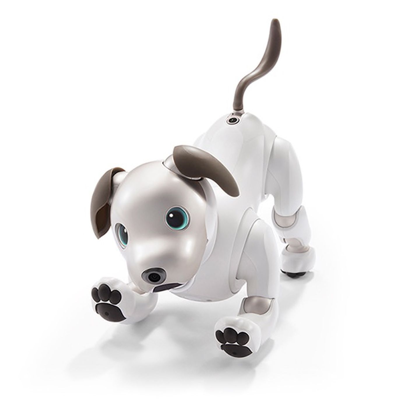 With New Apis Sony S Robot Dog Could Be The Smart Home Assistant