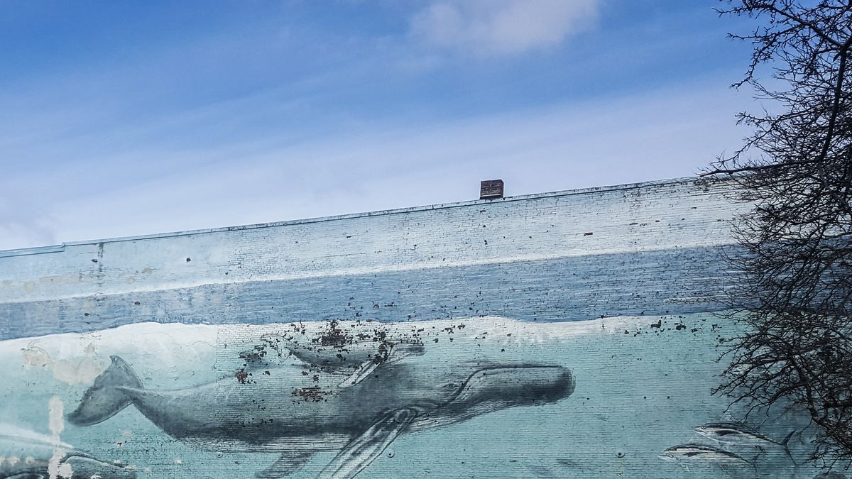 Portsmouth’s Whaling Wall mural by Robert Wyland