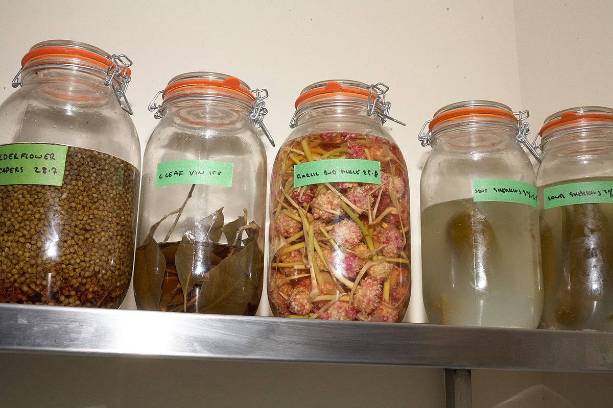 A row of jars of pickles, fig leaf vinegar, and other ferments.