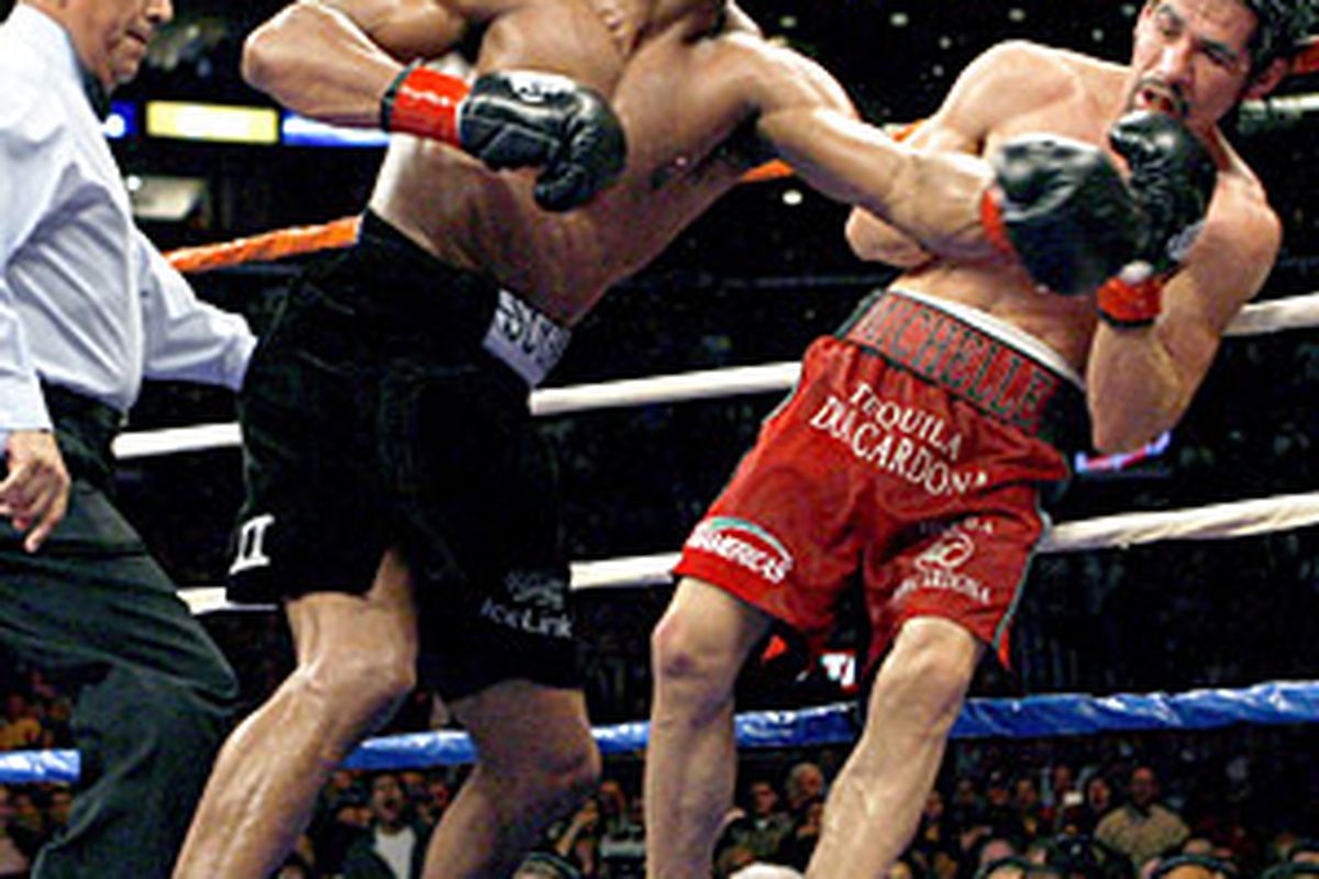 Antonio Margarito, shown here being finished off by Shane Mosley in January, is suing the California State Athletic Commission. (via <a href="http://hem.passagen.se/monnelito/images/mosley%20margarito.jpg">hem.passagen.se</a>)
