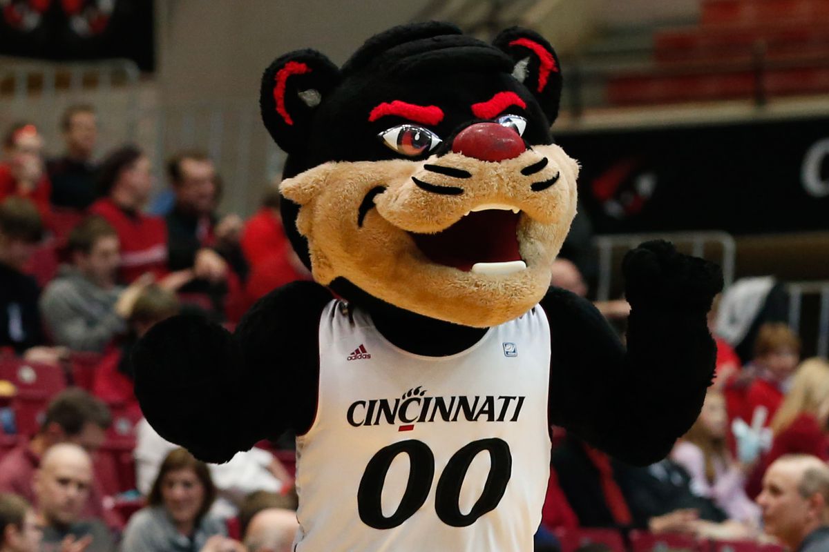 Ah, our old "friend," the Cincinnati Bearcat.