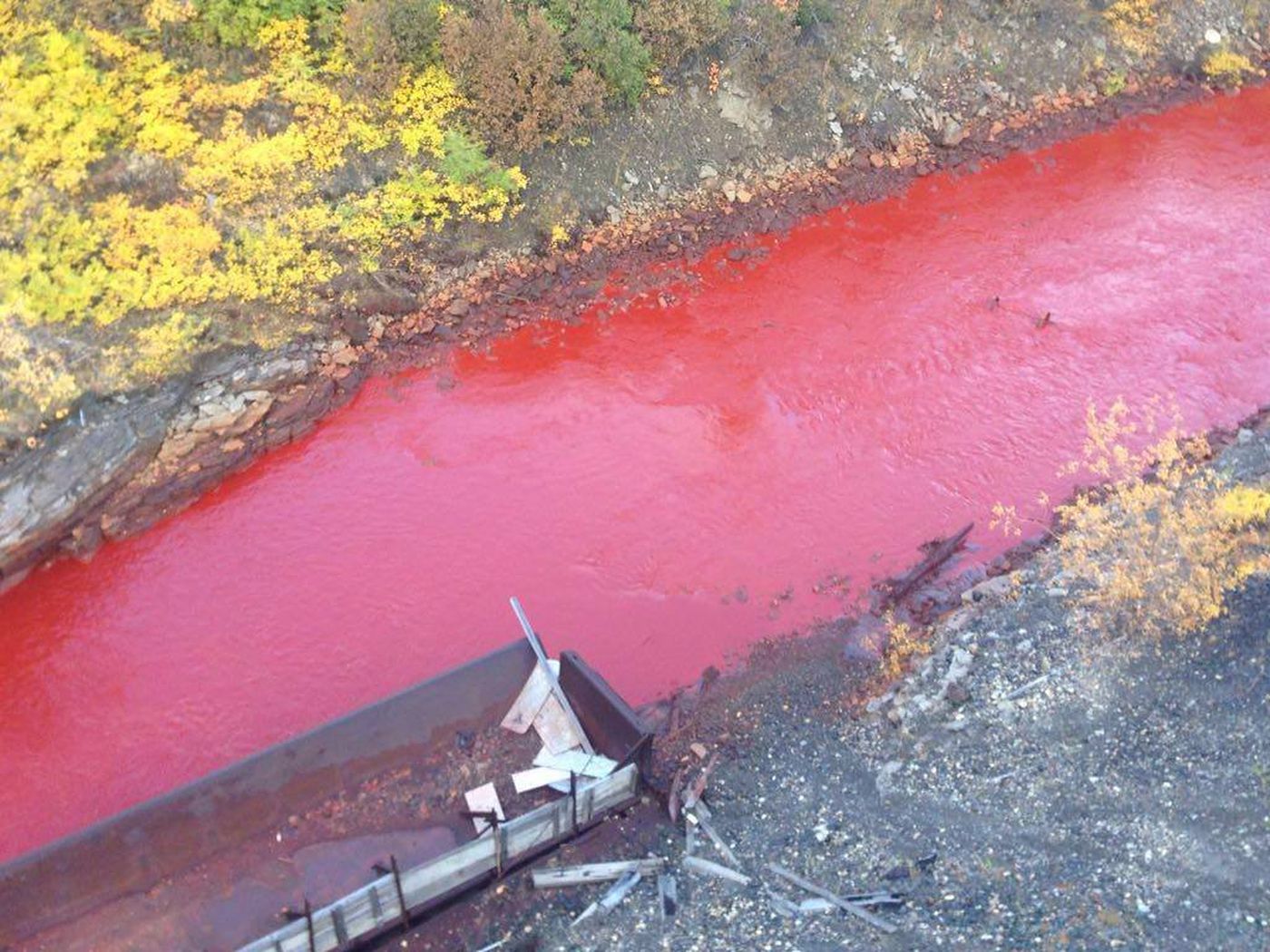 biologi historie Macadam Why is this Russian river blood red? - The Verge