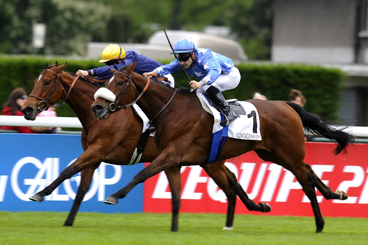 French 1000 Guineas winner Flotilla (FR). The filly also won the 2012 Breeders' Cup Juvenile Fillies Turf.