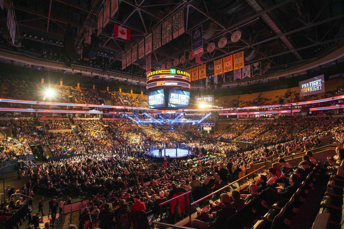 MMA: UFC Fight Night-Boetsch vs Herman