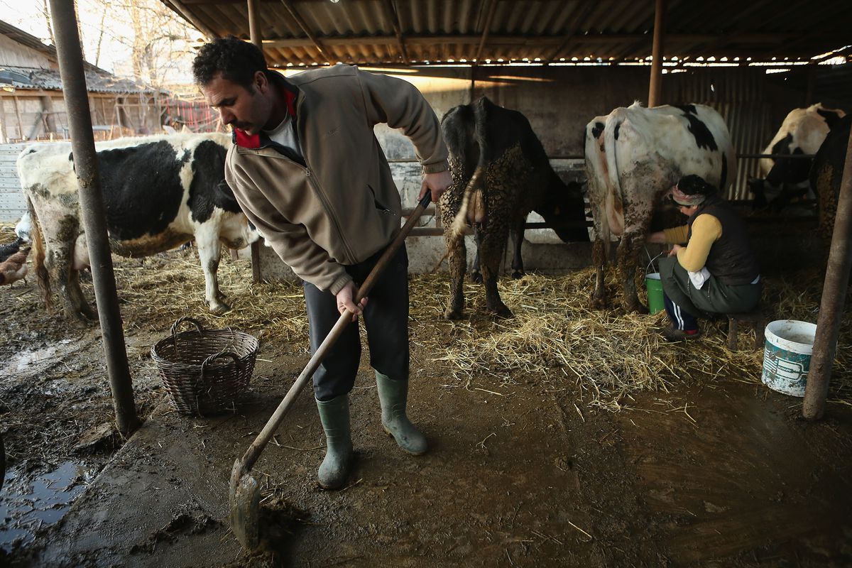 In Dilga, Rural Roma Struggle For A Better Life