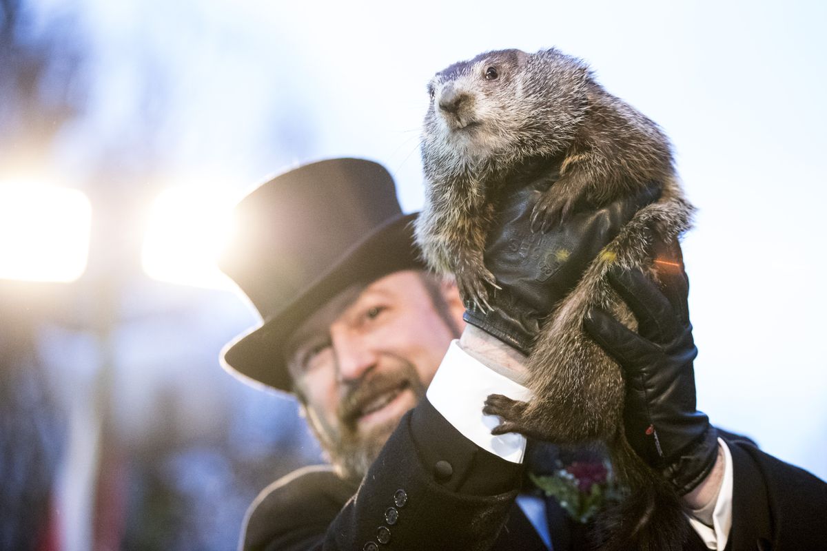‘Punxsutawney Phil’ Makes Annual Winter Prediction On Groundhog Day