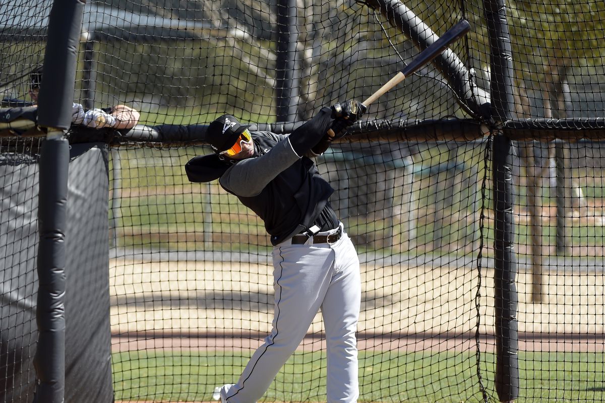 Chicago White Sox Workout