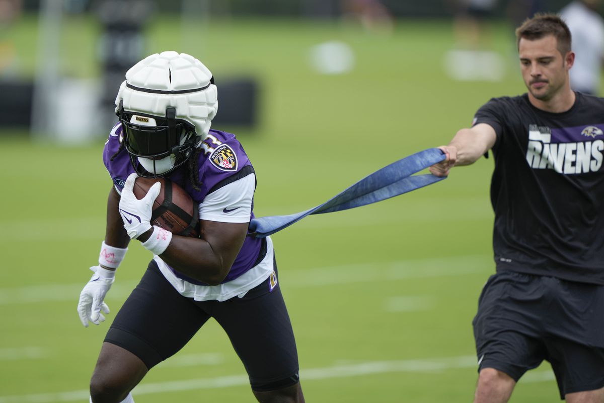 NFL: Baltimore Ravens Training Camp