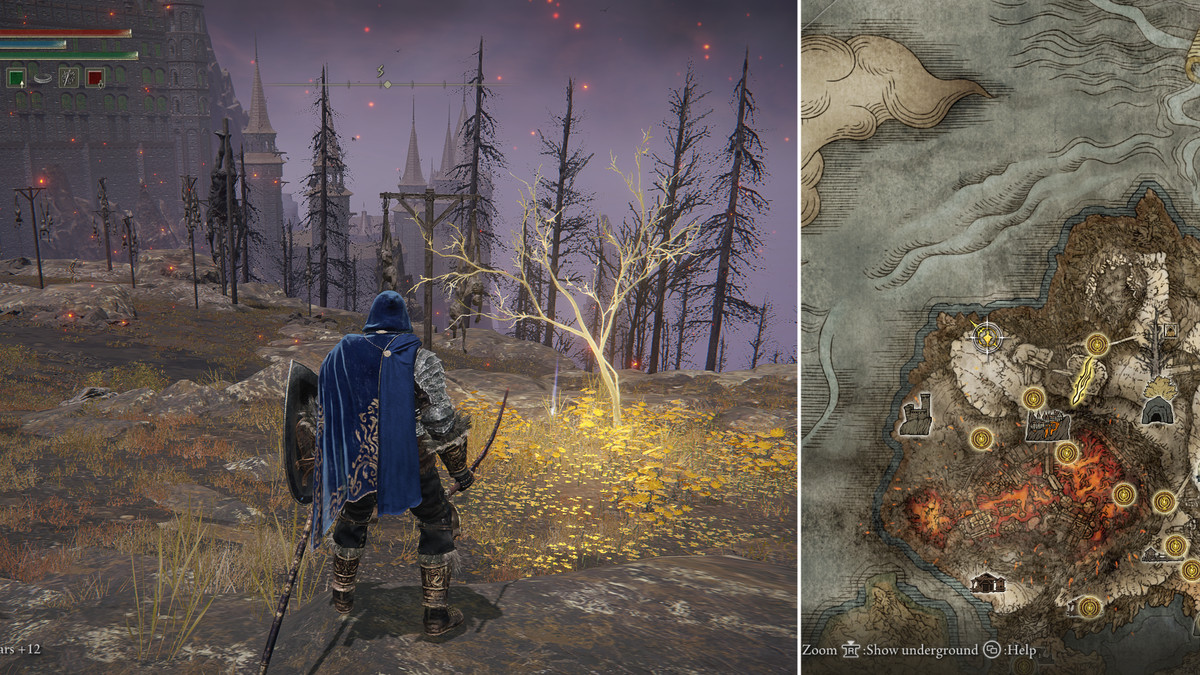 Split image showing map and Fallingstar Beast Golden Seed location 