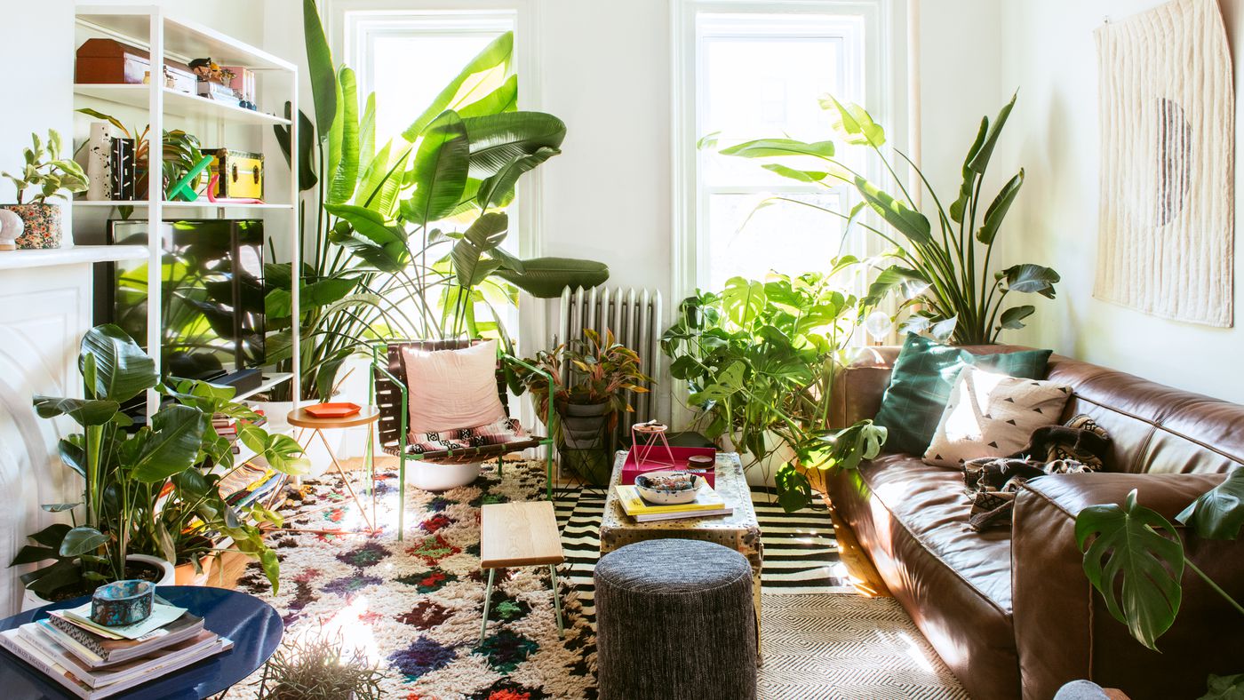 Plant decor ideas for the living room, bedroom, and more   Curbed
