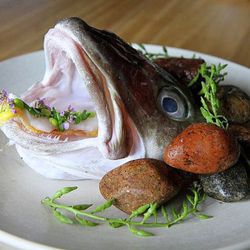 Jo BÃ¸e Klakegg's Cod Tongue Sandwich Snack for Projects Lunch