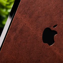 <em>Brown leather skin on an iPhone.</em>