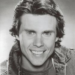 Shawn Stevens was an actor in Hollywood during the late 1970s and early 1980s.