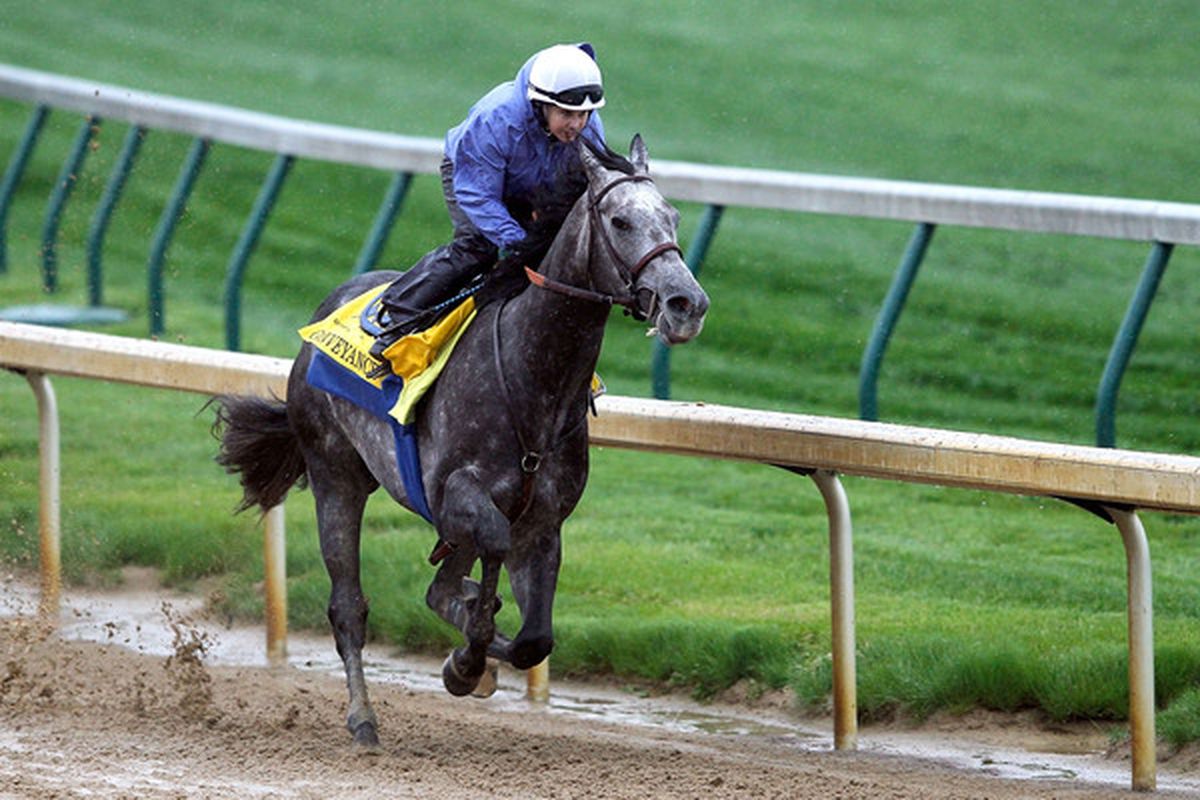 LOUISVILLE, KY - APRIL 27:  Kentucky Derby entrant Conveyance, riden by Dana Barnes, is put through a workout during morning exercise at Churchill Downs on April 27, 2010 in Louisville, Kentucky.  (Photo by Matthew Stockman/Getty Images)