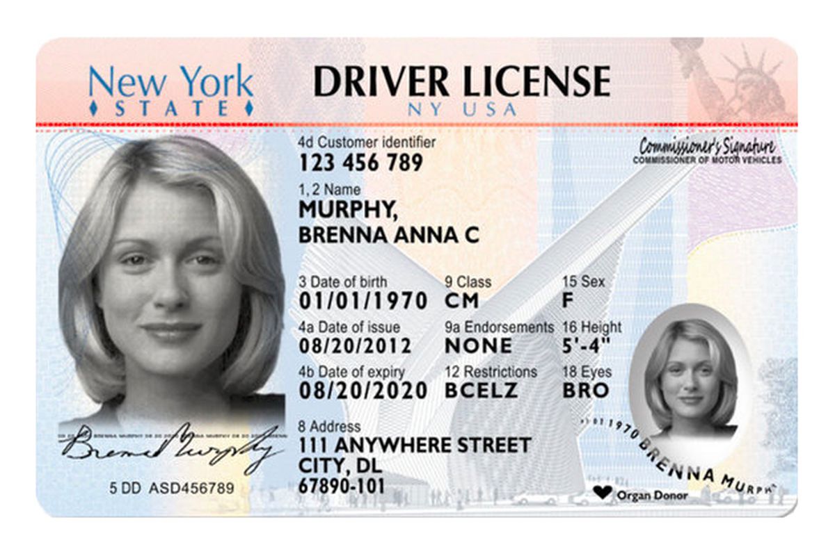 new new york state drivers' license FROM NYT