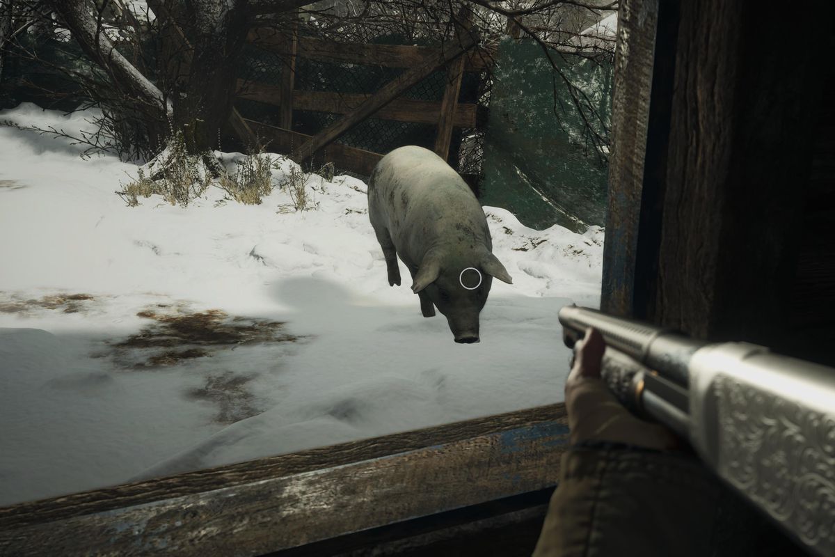 Shooting a white pig in Resident Evil Village for Quality Meat cooking duke’s kitchen guide