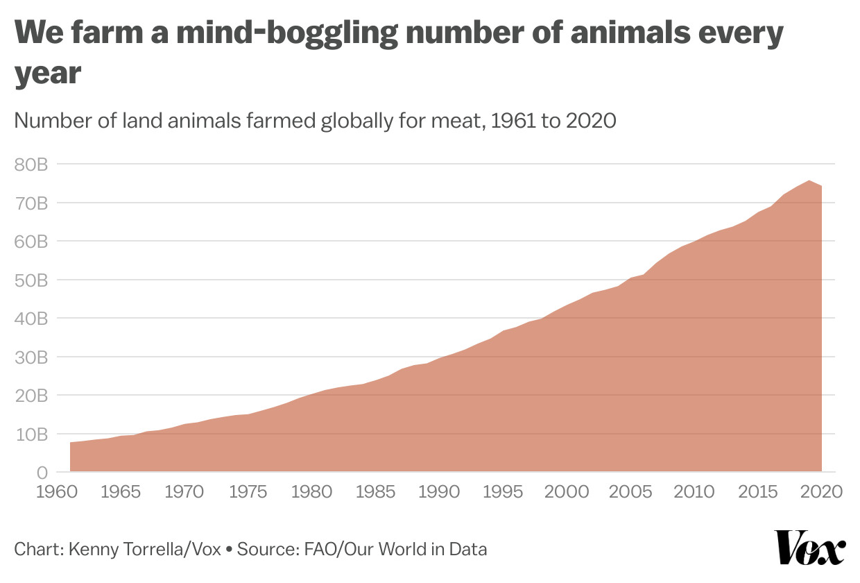 A new report shows a drastic decline in wildlife. But farmed animals could  have it even worse. - Vox