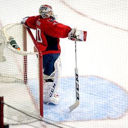 Holtby Stands by Net