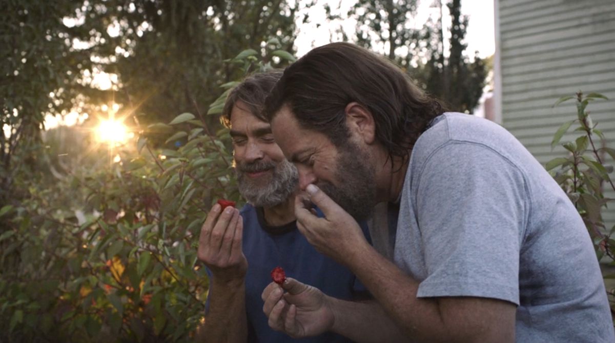 Bill (Nick Offerman) and Frank (Murray Bartlett) eat strawberries at sunset in The Last of Us