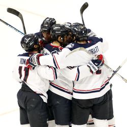 UConn celebrates after a goal against Northeastern men's college ice hockey game game at the XL Center in Hartford, CT  on November 28, 2017.