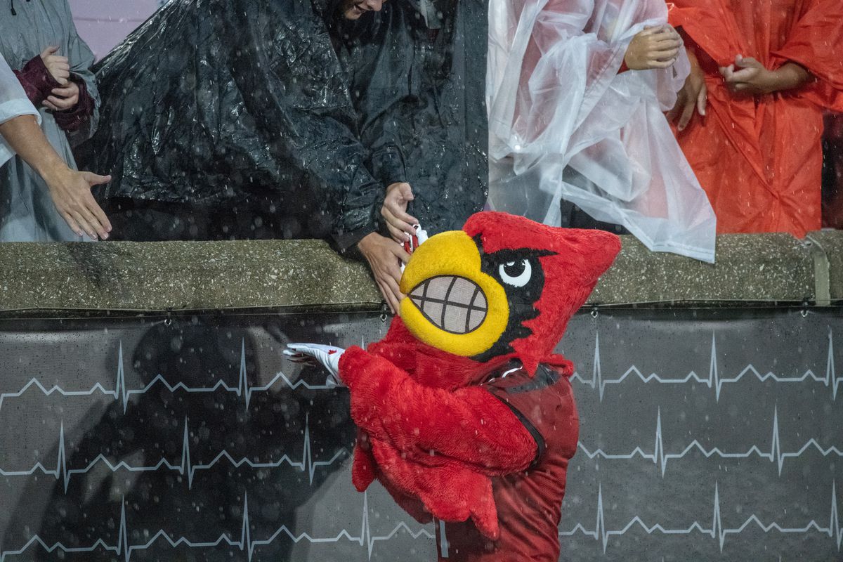 Cardinal Bird in the downpour of the Indiana St Game