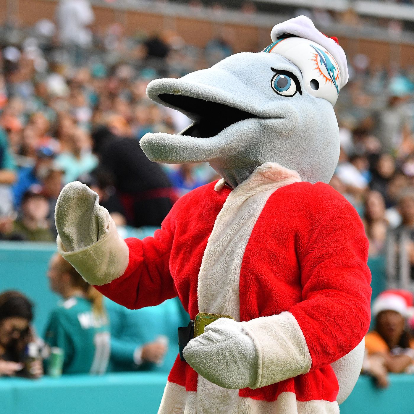 christmas dolphins game