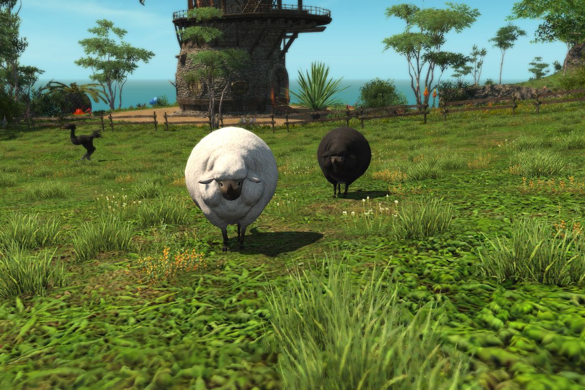 How to find Rare Island Sanctuary Animals in FFXIV - Polygon