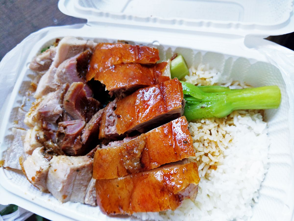 Bronze skinned sliced duck and chunks of pork over rice with a stem of bok choy sticking out.