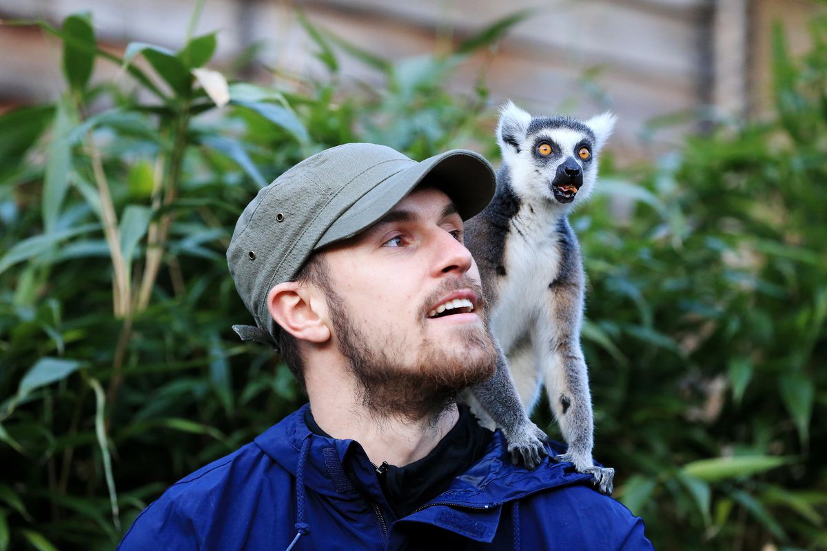 Aaron Ramsey visits Colchester Zoo