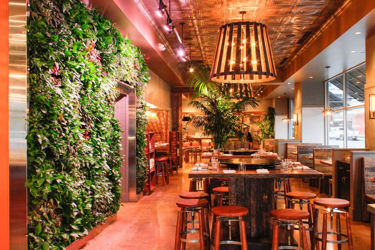 The interior of a colorful, tropical restaurant, featuring a leaf-covered live wall
