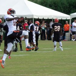 AJ Green leaps for a catch