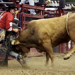 Bullfighter Clifford Maxwell tries to protect rider Zeb Lanham from the bull in the Days of 47 Rodeo Tuesday, July 22, 2014, at EnergySolutions Arena in Salt Lake City.