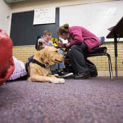 With service dog Dopey near, teacher's aid Fern Wilson works with Britton Voss at school in Clearfield on Monday, Dec. 19, 2016.